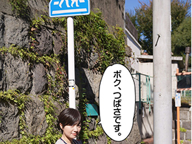 少年愛好家　つばさくん サンプル動画サムネイル